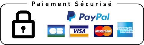 Logo paypal